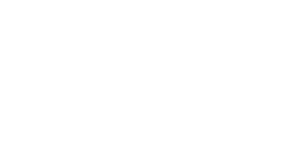 FST Corp.